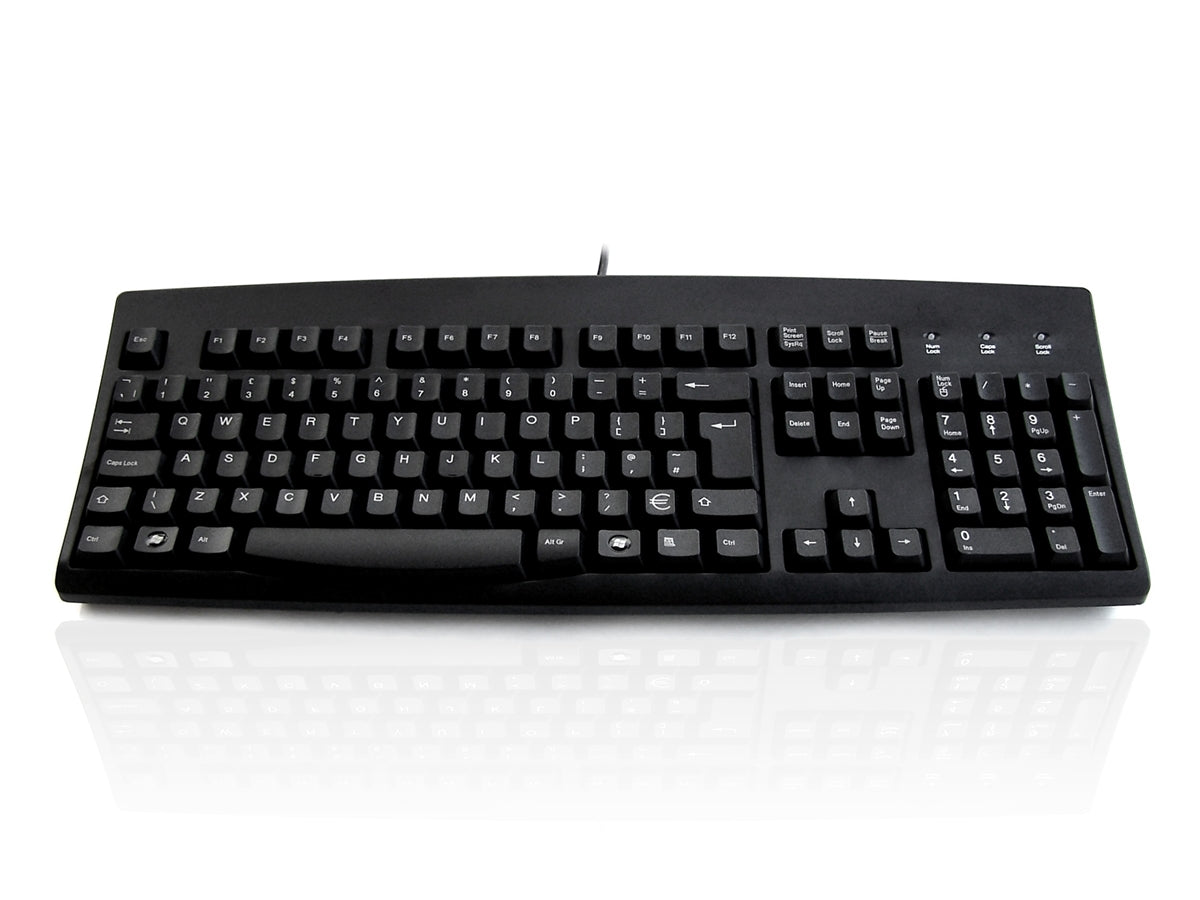 Accuratus 260 - PS/2 Full Size Professional Keyboard with Contoured Full Height Touch Typing Keys & Patented One Touch Euro Key