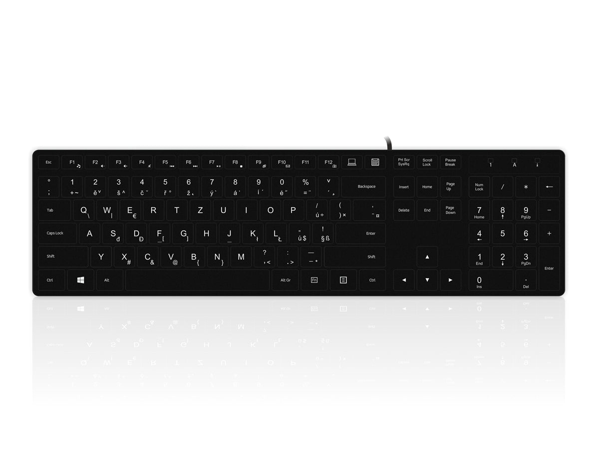 Accuratus 301 - USB Full Size Super Slim Multimedia Keyboard with Square Modern Keys in Black - Czech Layout
